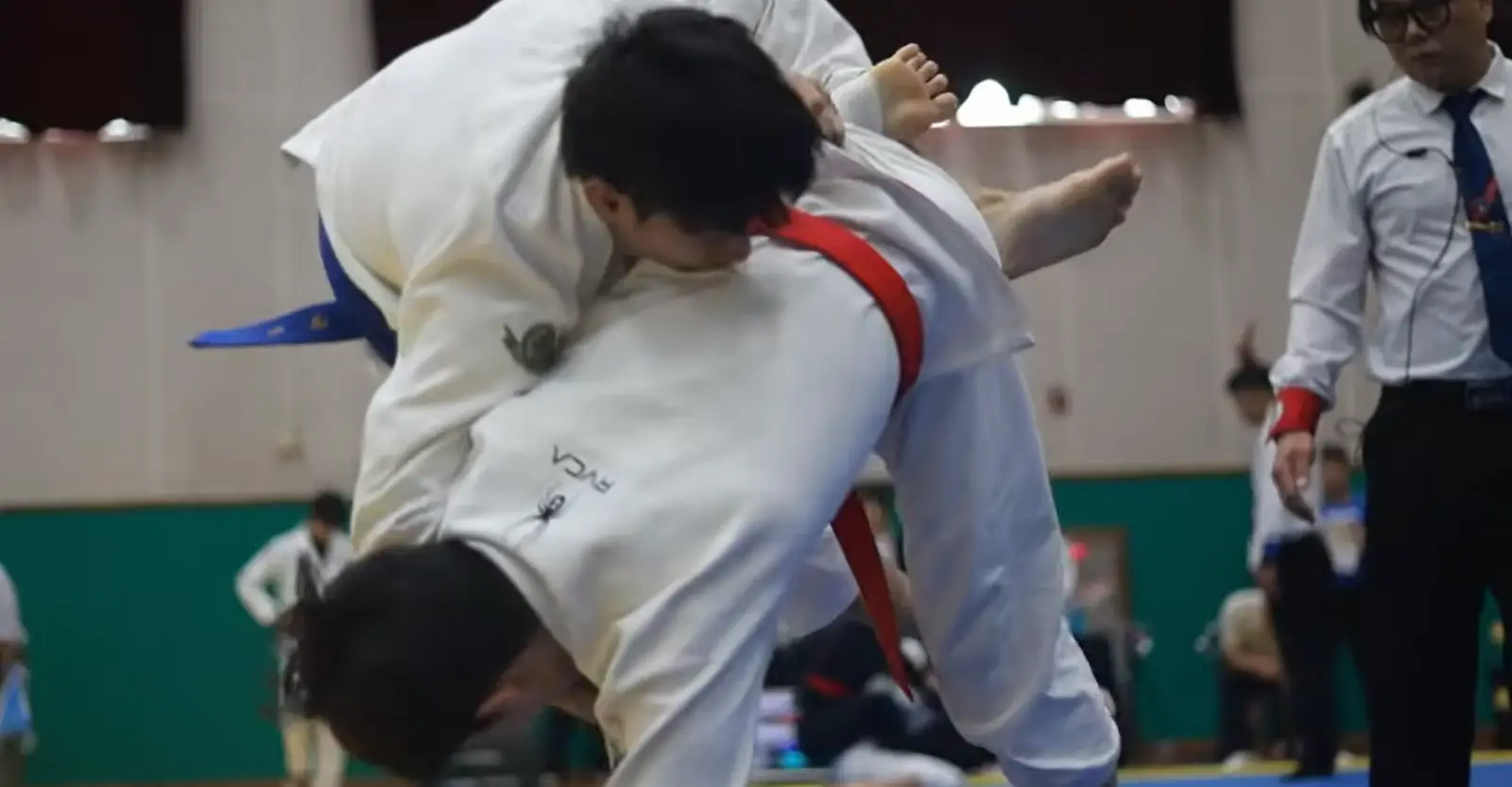 6aa0ae713d863.webp