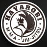 하야로비MMA